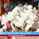 Tabaski 2025 à Nassouroulaye – Paix, recensement et jeunesse : un message d’unité