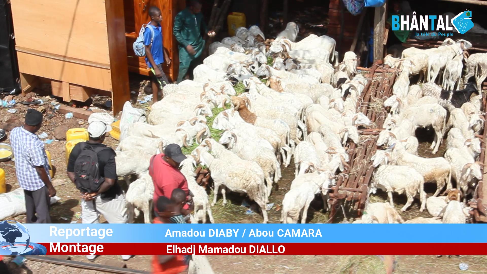 BHANTAL TV - Fête de Tabaski