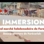 Terrain sec, rêves humides – Le cri du football populaire en Guinée